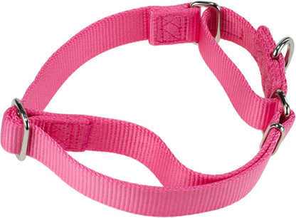 Hyhug Improved Design Nylon Webbing, Cold Water Washing Does Not Fade, Not Polluting Dog Hair, Wear Resistant and Not Prone to Fuzzing. No Slip Training Martingale Collar (Candy Pink, Medium)