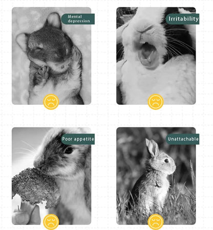 Rabbit Toys 30Pcs 3 Flavours for Teeth Grinding - Chew Toys for Hamsters, Guinea Pigs, Chinchillas