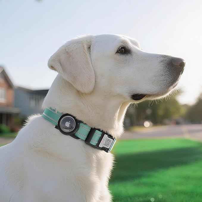 Airtag Dog Collar with QR Code, Reflective Dog Collar with Airtag Holder, Soft Padded & Safety Locking Buckle Adjustable Pet Collar for Medium Dogs