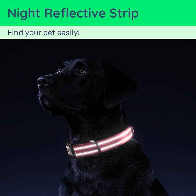 Airtag Dog Collar with QR Code, Reflective Dog Collar with Airtag Holder, Soft Padded & Safety Locking Buckle Adjustable Dog Collar for Large Dogs