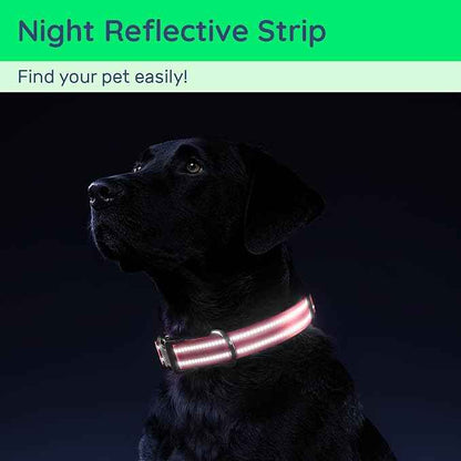 Airtag Dog Collar with QR Code, Reflective Dog Collar with Airtag Holder, Soft Padded & Safety Locking Buckle Adjustable Dog Collar for Large Dogs