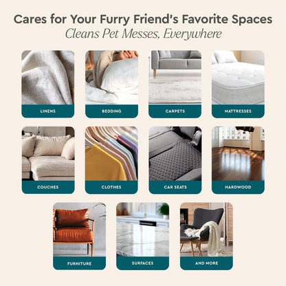 Puracy Pet Stain and Odor Remover - Enzyme Cleaner for Dog Urine and Poop Carpet - Pet Urine Enzyme Cleaner - Cat Pee Enzyme Cleaner for Cat Urine Enzyme Cleaner Destroyer - Cucumber & Mint, 25oz