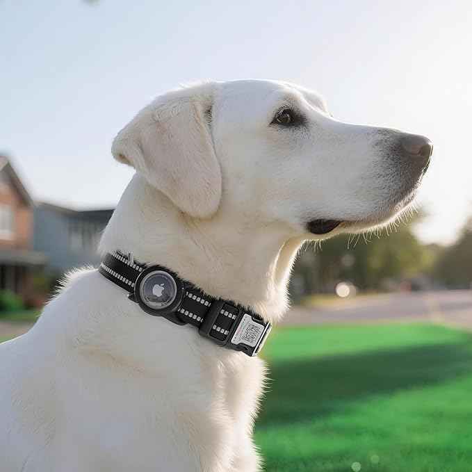 Airtag Dog Collar with QR Code, Reflective Dog Collar with Airtag Holder, Soft Padded & Safety Locking Buckle Adjustable Dog Collar for Small Dogs