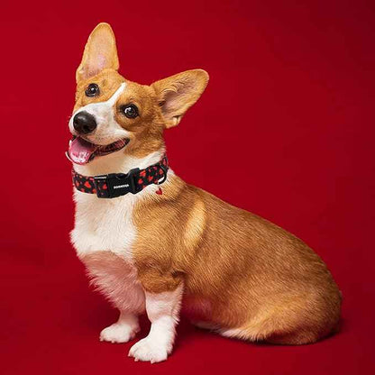 DOGWONG Red Heart Dog Collar Adjustable Soft Natural Fabric Girl Pet Dog Collar Cute Heart Valentine Puppy Necklace for Small Medium Large Dogs