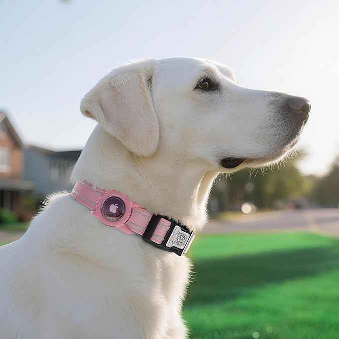 Airtag Dog Collar with QR Code, Reflective Dog Collar with Airtag Holder, Soft Padded & Safety Locking Buckle Adjustable Puppy Collar