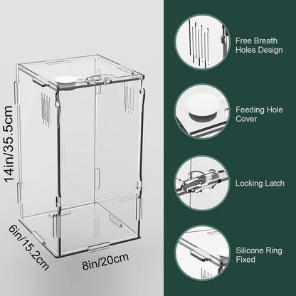 BETAZOOER Acrylic Mini Reptile Tank Habitat Transparent Terrariums with Locking Latch Suitable for Tarantula Isopod Roach Invertebrates (8''x6''x14'')