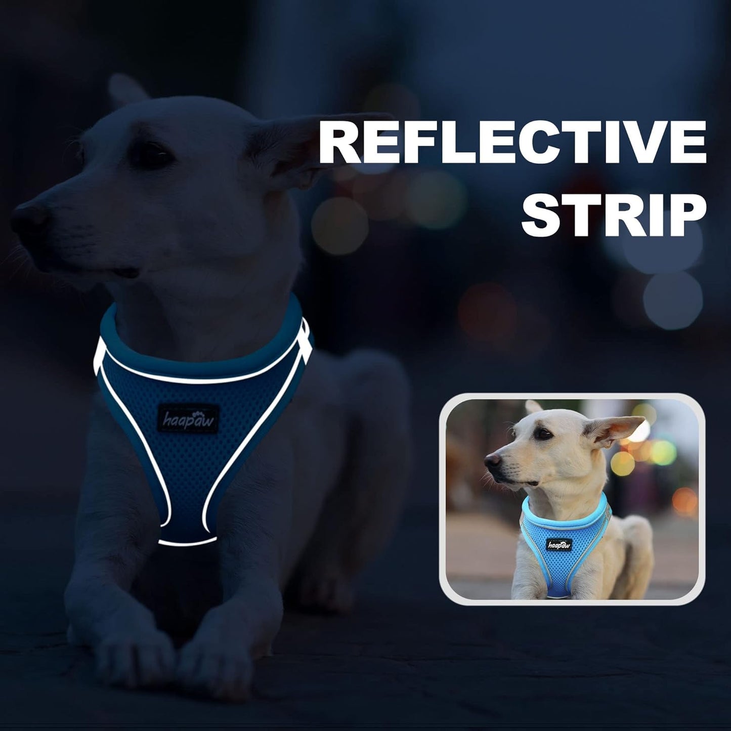 haapaw Dog Harness with Leash Set, No Pull Adjustable Reflective Step-in Puppy Harness with Thickened Padded Vest for Extra-Small/Small Medium Dogs