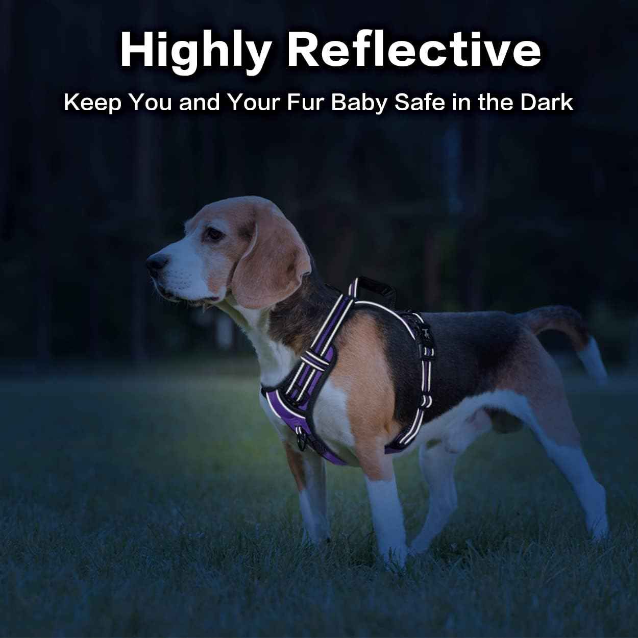 PoyPet No Pull Dog Harness, No Choke Front Clip Reflective Dog Vest with Soft Padded Vertical Handle, 3 Leash Attachments for Small Medium Large Dogs (Purple,L)