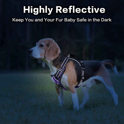 PoyPet No Pull Dog Harness, No Choke Front Clip Reflective Dog Vest with Soft Padded Vertical Handle, 3 Leash Attachments for Small Medium Large Dogs (Purple,L)