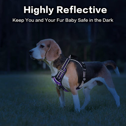 PoyPet No Pull Dog Harness, No Choke Front Clip Reflective Dog Vest with Soft Padded Vertical Handle, 3 Leash Attachments for Small Medium Large Dogs (Purple,S)