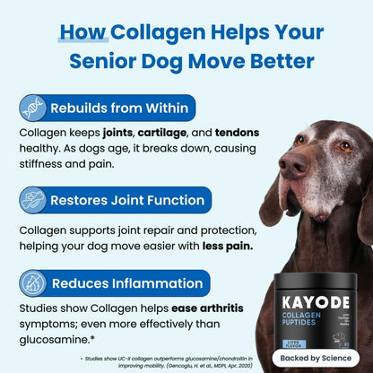 Collagen Puptides - Collagen for Dogs | Premium Dog Joint Supplement | 2X The Amount As Liquid Droppers | Great for Senior & Adult Dogs. Includes Omega 3.