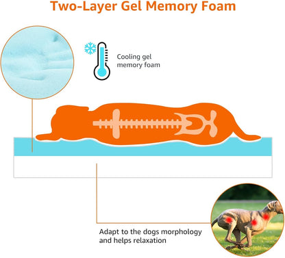 Amazon Basics Dog Bed with Cooling Gel Memory Foam, Pressure-Relief Support for Dogs up to 50lbs, Non-Slip Bottom, Machine Washable Cover, Large Sized (35" x 22"), Grey