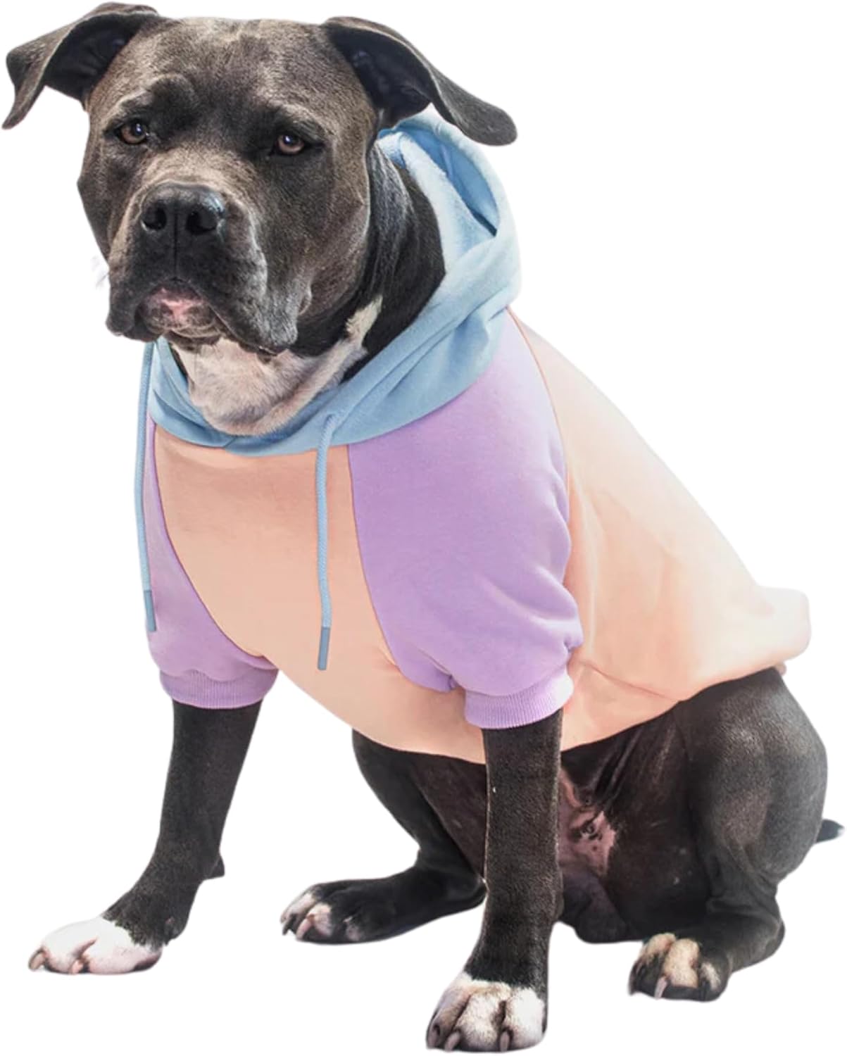 Spark Paws Dog Hoodie – Premium Dog Sweater for Small, Medium, and Large Dogs | Warm Outfits for French Bulldogs, Pitbull, Puppy, Winter Jacket Alternative - Cotton Candy - 4XL