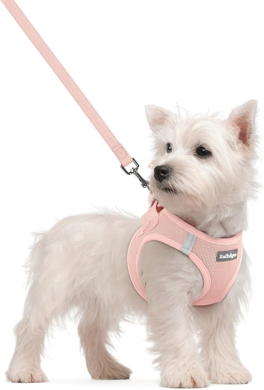 rabbitgoo Dog Harness Small Sized and Leash Set, Step in Soft Light Puppy Vest, Breathable Mesh Pet Harness, Reflective for Safe Outdoor Walking, Pink S