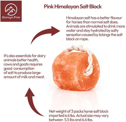 Himalayan Mineral Salt Block on Rope Pack of 4 (3lbs each) – 100% Organic Pink Salt Lick for Horses and Livestock. Deer Attractant with No Harmful Elements.