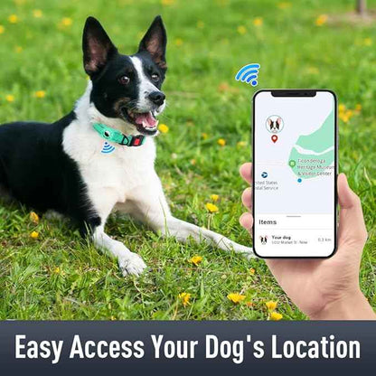 AirTag Dog Collar with AirTag Holder Compatible for Air Tag, Reflective Soft Padded, Safety Locking Buckle, Adjustable Nylon for Small Medium Large Dogs (Teal,M)