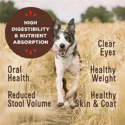 Primal Freeze Dried Dog Food, Pronto Mini Nuggets, Chicken; Scoop & Serve, Complete & Balanced Meal;Also Use As Topper or Treat; Premium, Healthy, Grain Free, High Protein Raw Dog Food (25 oz, 2-Pack)