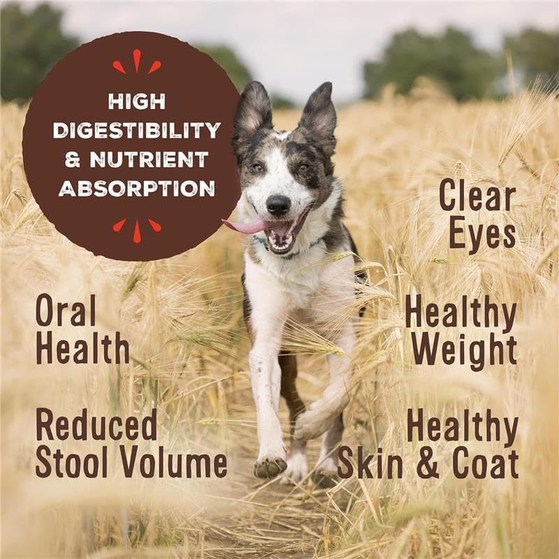 Primal Freeze Dried Raw Dog Food Nuggets, Beef, Complete & Balanced Meal, Also Use as Topper or Treat, Premium, Healthy, Grain Free, High Protein Raw Dog Food, 14 oz (Pack of 2)