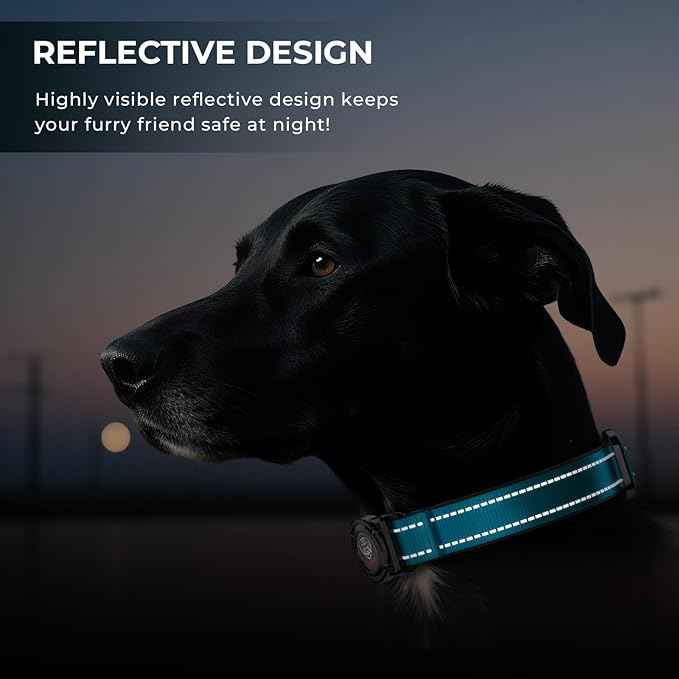 2026 Upgrade Airtag Dog Collar, Reflective Dog Collar with Airtag Holder, IP68 Waterproof| Metal Buckle| Ultra-Durable| Comfortable Padded, GPS Dog Collars for Medium Large Dogs (Blue,M)