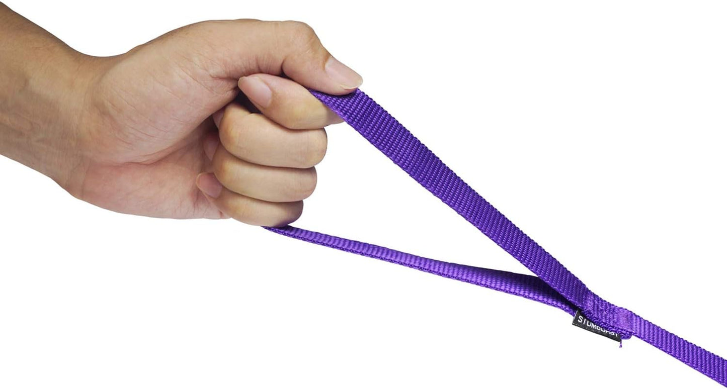 Dog/Puppy Obedience Recall Training Agility Lead - 15ft Long Training Leash，3/4in Wide - Great for Play, Camping, or Backyard (15Feet, Purple)