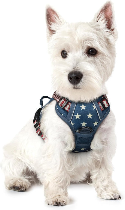 rabbitgoo Dog Harness No Pull with 2 Leash Clips, Adjustable Soft Padded, Reflective Oxford No Choke Pet Vest with Easy Control Handle for Large Dogs, Blue Star, XS