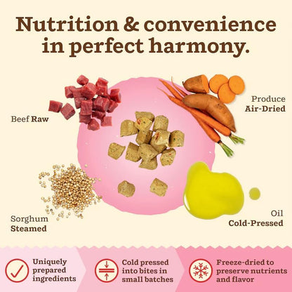 Primal Kibble in The Raw, Freeze Dried Cat Food, Beef, Scoop & Serve, Made with Raw Protein, Whole Ingredient Nutrition, Crafted in The USA, Dry Cat Food, 64 Ounce (4 lb) Bag