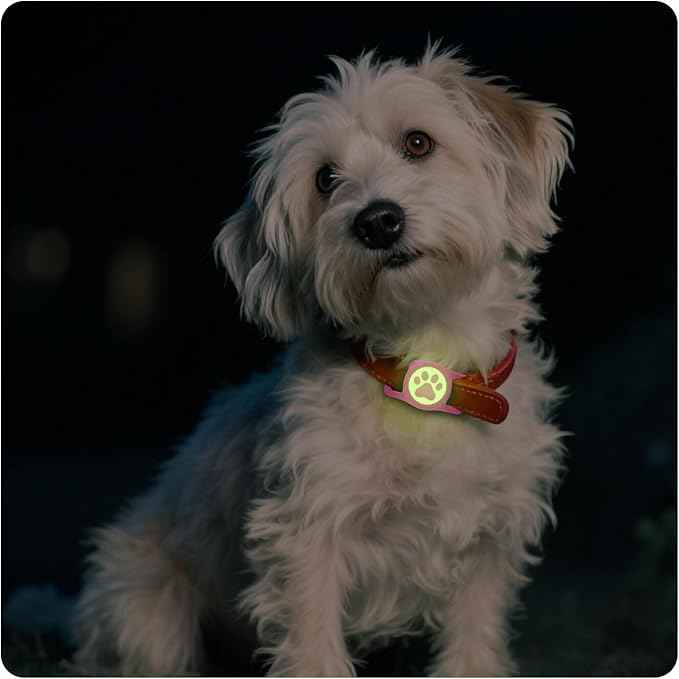Waterproof Airtag Holder for Dog Collar,Stretchy Silicone|Full Body Covered|AirTag Holder Glow in the Dark (Rose Red-Luminous)