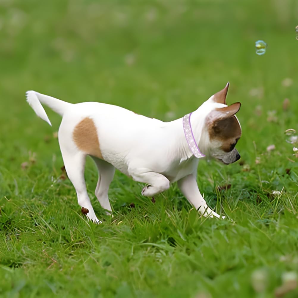 Rhinestone Dog Collar for Small Dogs, Bling Diamond Fancy Crystal Glitter Pretty Jewel Pet Puppy Collars for XXS XS Small Medium Large Breed Girl Dogs Female Cats Kitten, Teal XSmall
