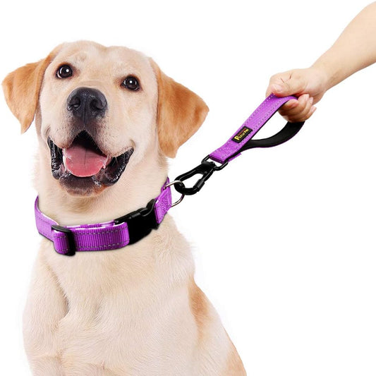 PLUTUS PET 10” Short Dog Leash, Reflective Nylon Padded Handle, Strong Traffic Leash with Carabiner Clip, Perfect for Large or Medium Dogs(10”,Purple