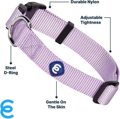 Blueberry Pet Essentials Small Dog Collar | Girl Dog Collars Fall | Female Dog Collar Small | Lavender Dog Collars for Small Dogs | Quick Release Dog Collar | Lavender Nylon Dog Collar