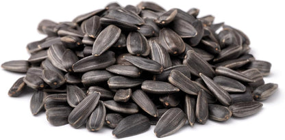 CountryMax Backyard Seeds Black Oil Sunflower (10 Pounds)