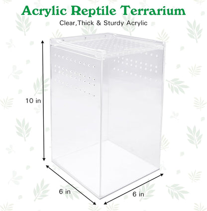 Reptile Terrarium Enclosure 6"x6"x10" Tall Acrylic Tarantula Breeding Box Magnetic Hermit Crab Habitat Vertical Tank Transparent Jumping Spider Cage for Insect Mantis Scorpion Sling Isopods