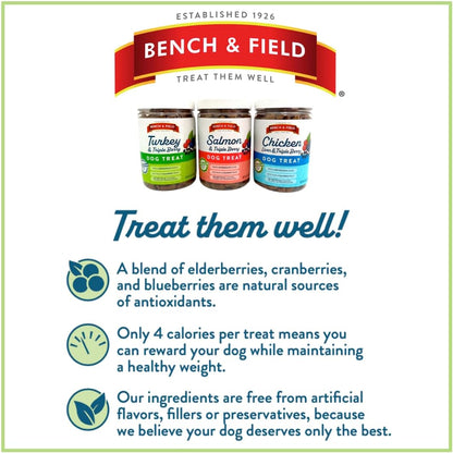 Bench & Field Holistic Natural Salmon & Triple Berry Dog Treats | Crunchy Bone-Shaped Bites | Antioxidant Blend, 10-Ounce Bottle
