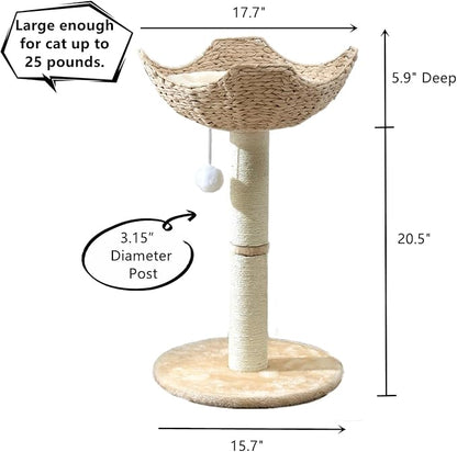 SHENGOCASE 2-Pack Small Cat Tree Tower with Wicker Rattan Basket, 17.7 inch Window Perch for Large Cats up to 25 lbs, Elevated Bed with Cushion