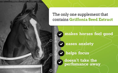 SynChill Oral Horse Calming Gel, 100% Natural & Nutritional Supplement, Lab Proven Results, Designed for Focus & Performance, Approved by Olympic Professionals & Veterinarians, Made in USA - 3-Pack