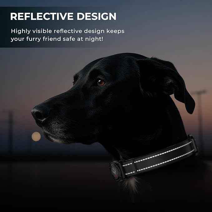 2026 Upgrade Airtag Dog Collar, Reflective Dog Collar with Airtag Holder, IP68 Waterproof| Metal Buckle| Ultra-Durable| Comfortable Padded, GPS Dog Collars for Medium Large Dogs (Black,XL)