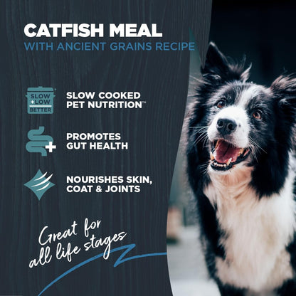 Blackwood Sensitive Skin & Stomach Dry Dog Food, Catfish Meal & Brown Rice with Ancient Grains, 10 Pound Bag with Prebiotics & Probiotics to Promote Gut Health