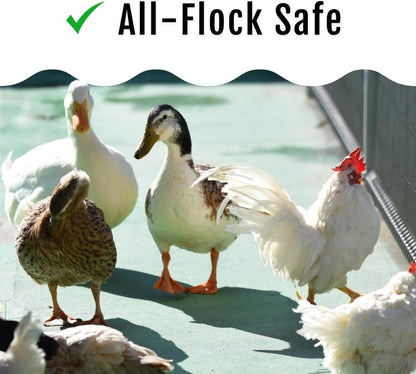 Herb Supplement for Backyard Chickens - Natural Chicken Treats, Poultry Feed Botanical Mix, Plant-Based Coop Snacks for Daily Wellness, Feather Quality, Egg Production, USA (5 LB)