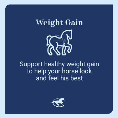 Smart & Simple 99% Fat | Horse Weight Gain Supplement Supports Ideal Body Condition in Horses | Easy to Use & Tasty High Fat Supplement Powder | 112 Servings | 14 lb Bag