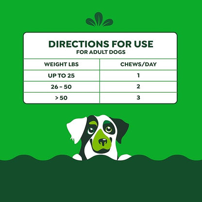 Greenies Supplements Digestive Health Probiotics for Dogs, Dog Probiotic Supplements, Chicken Flavor, 15.6 oz. Pouch of 80 Count