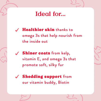 Bocce's Bakery Skin & Coat Supplement for Dogs, Daily Chews Made in The USA with Vitamin E & Essential Fatty Acids, Supports Healthy Skin & Coat, Salmon, 60 ct, Red (DG-SP-SKIN60)