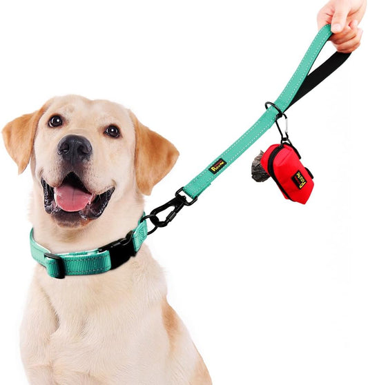 PLUTUS PET Short Training Dog Leash with Padded Handle for Medium Large Dogs,18 Inch Heavy Duty Strong Traffic Leash with Carabiner Clip for Climbing Walking or Guiding Blind(18”,Teal)