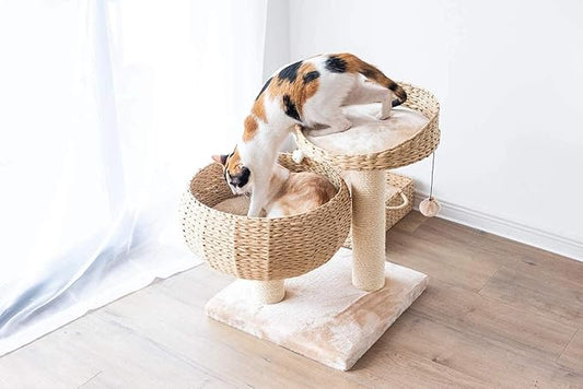 PetPals 23" High Handwoven Recycled Paper Rope Baskets Bed and Perch, Sisal Scratching Post, Playful Teaser Toy, Washable Cushion, for Indoor Cats (Beige)