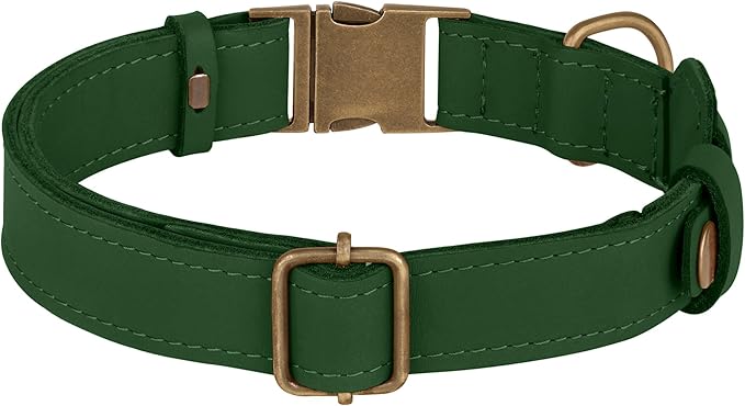 AirTag Dog Collar - Genuine Leather Dog Collar with Apple AirTag Holder and Metal Buckle - Smart GPS Tracking Pet Collars (Dark Green, L, 17"-21" Neck Fit)