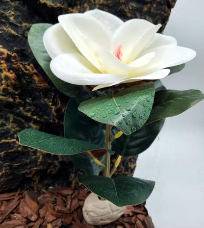 Reptile Plants Terrarium Reptile Tank Decorations for Bearded Dragon Lizard Snake Geckos Chameleon Amphibian Habitat Terrarium Decor (White)