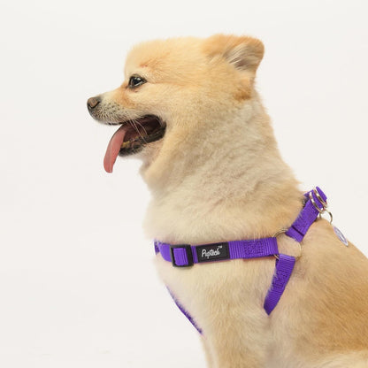 PUPTECK No Pull Dog Harness Soft Adjustable Basic Nylon Step in Puppy Vest Outdoor Walking with ID Tag X-Small