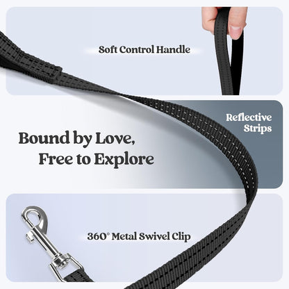 rabbitgoo Dog Harness Small Sized and Leash Set, Step in Soft Light Puppy Vest, Breathable Mesh Pet Harness, Reflective for Safe Easy Walking, Black XXS