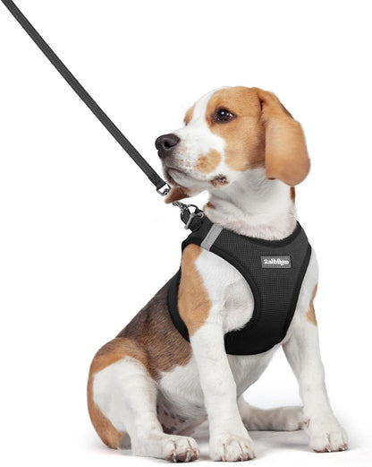 rabbitgoo Dog Harness Small Medium Sized and Leash Set, Step in Soft Light Puppy Vest, Breathable Mesh Pet Harness, Reflective for Safe Easy Walking, Black L