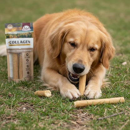 Wild Eats Venison Flavor Collagen Retriever Style Cheek Rolls 10" Dog Chews-3 Pack (Long Lasting Dog Chews Treats & Bones for Medium Dogs) Substitute for Pig Ears for Dogs