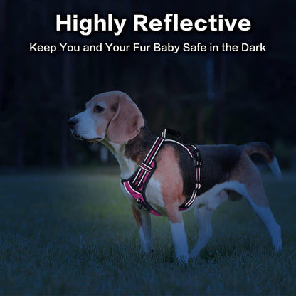 PoyPet No Pull Dog Harness, No Choke Front Clip Reflective Dog Vest with Soft Padded Vertical Handle, 3 Leash Attachments for Small Medium Large Dogs (Pink,S)